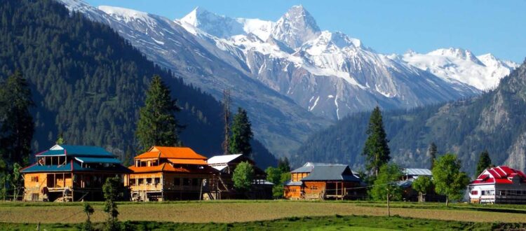 Best Tour Company In Delhi